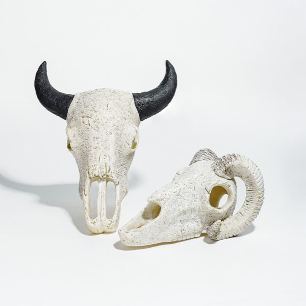 Reptile Habitat Decoration-Cow and Sheep Skulls