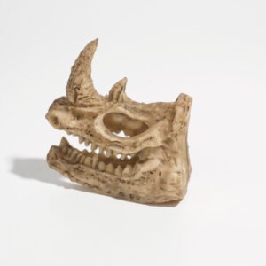 Reptile Habitat Decoration-PVC small skull
