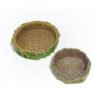 Reptile Habitat Decoration-Stump cup