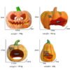 Reptile Habitat Decoration-Pumpkin Hideout