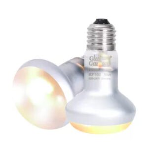 UVA heating lamp for pets