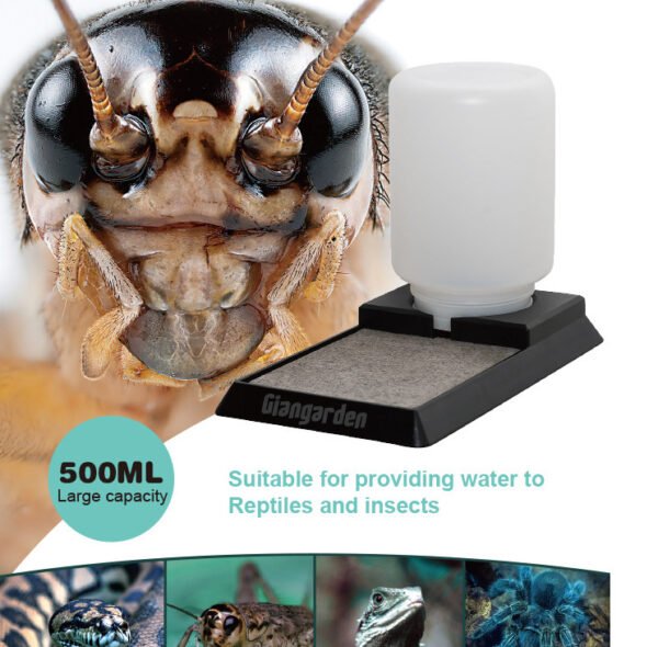 Cricket anti-drowning drinking fountain