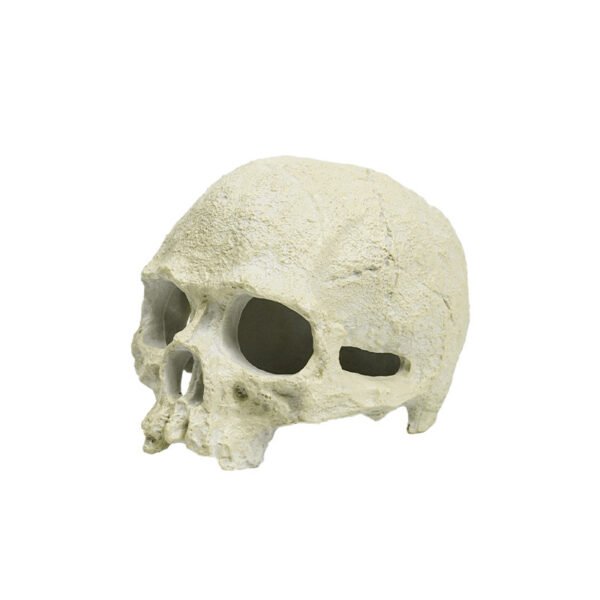 Reptile Habitat Decoration-Skull