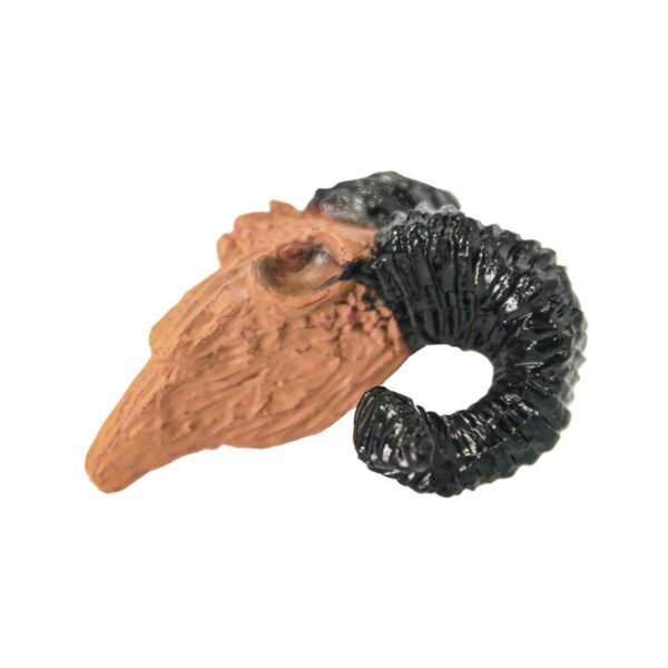 Reptile Habitat Decoration-PVC small skull