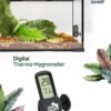Electronic Thermometer and Hygrometer - Black