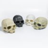 Reptile Habitat Decoration-Skull