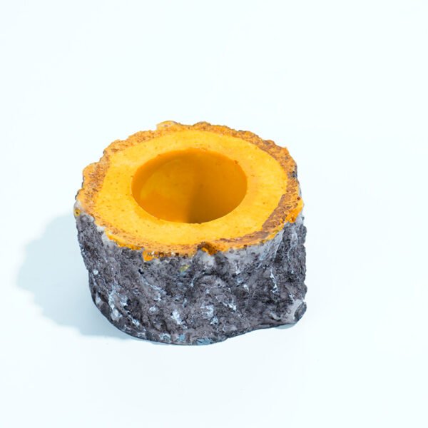 Reptile Habitat Decoration-Special wood grain basin
