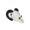 Reptile Habitat Decoration-Cow and Sheep Skulls