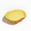 Reptile Habitat Decoration-Stump disc