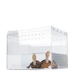 Acrylic spider reptile box