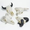 Reptile Habitat Decoration-Cow and Sheep Skulls