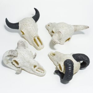 Reptile Habitat Decoration-Cow and Sheep Skulls