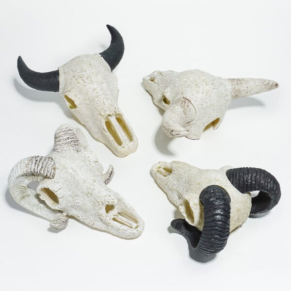 Reptile Habitat Decoration-Cow and Sheep Skulls