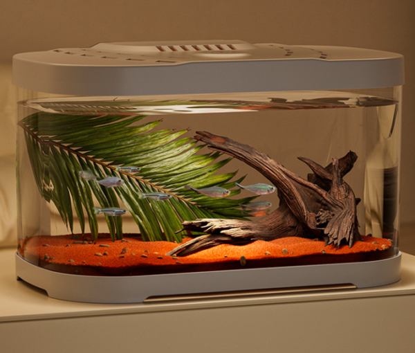 Desktop Ecological Tank