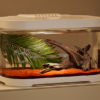 Desktop Ecological Tank