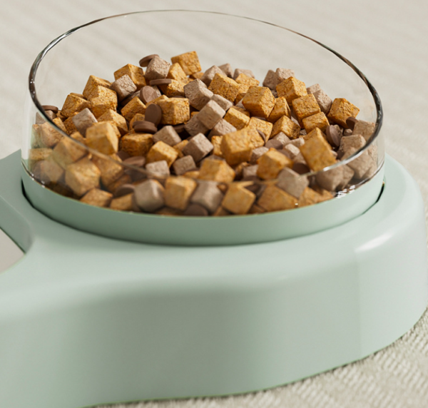 Pet Sitting Automatic Water and Food Feeder