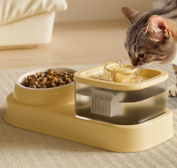 Water and Food All-in-One Machine