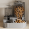Pet Sitting Automatic Food and Water Feeder