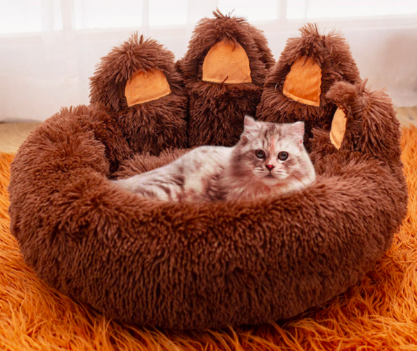 Cat Paw Bed