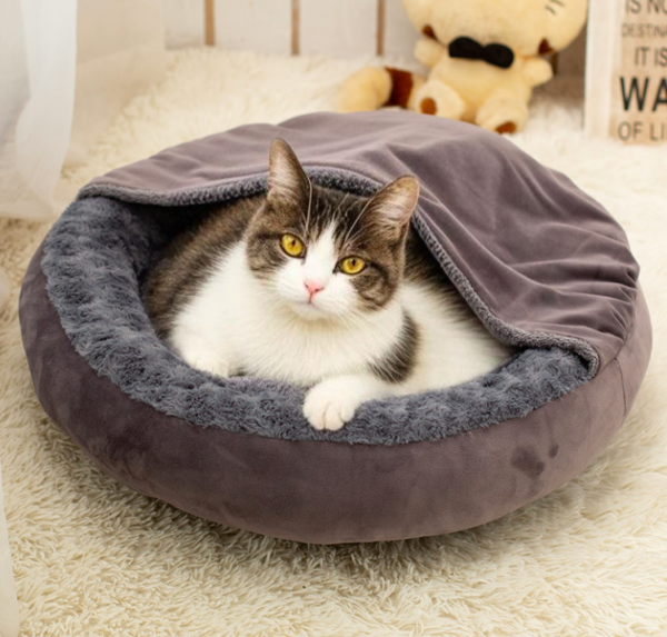 Covered Pet Bed