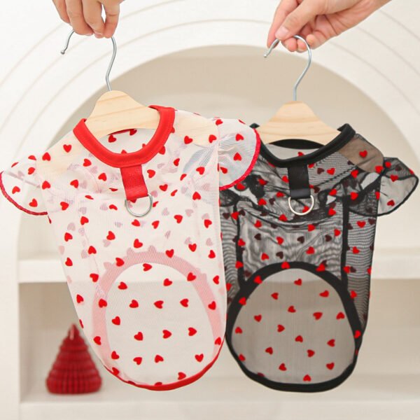 Pet lace mesh short-sleeved dress