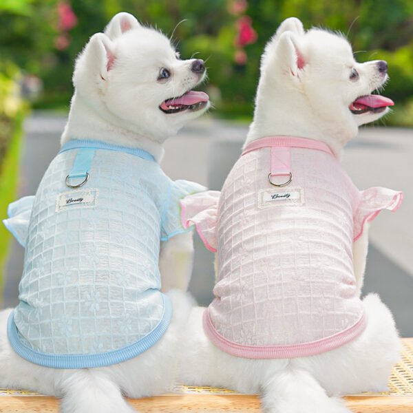 Pet lace mesh short-sleeved dress