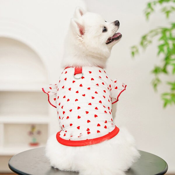 Pet lace mesh short-sleeved dress
