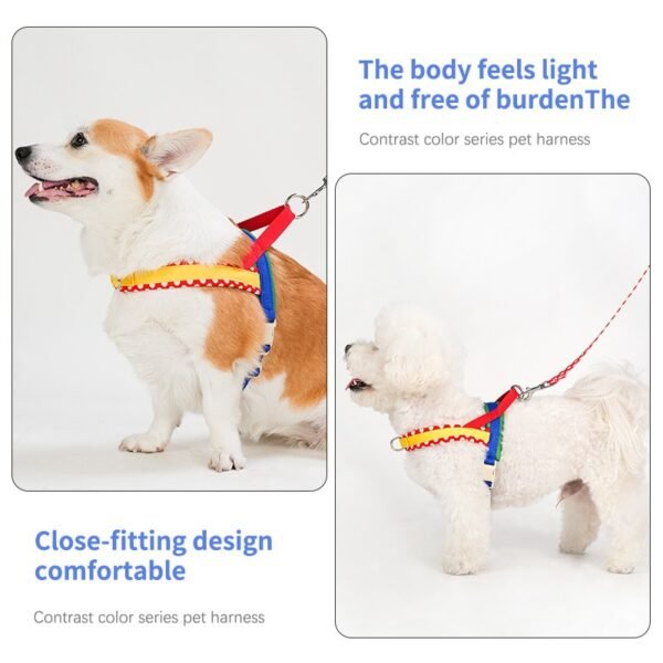 Dog harness to prevent escape#HP395