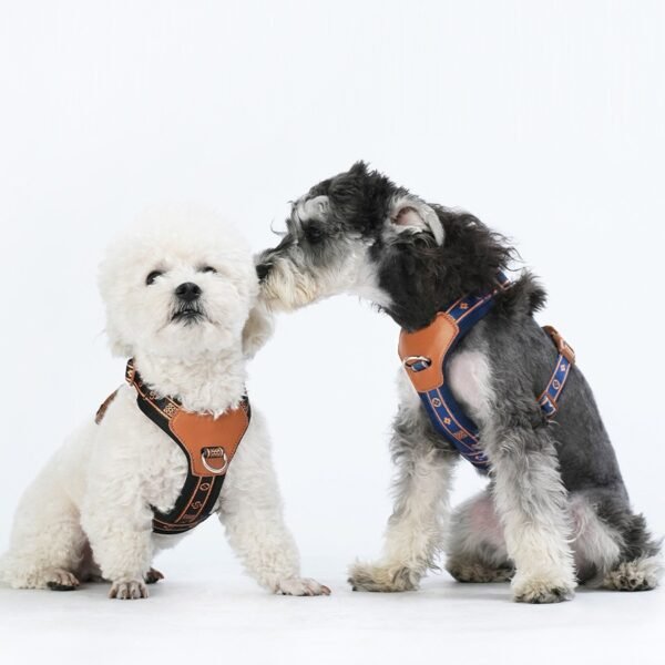 Breathable and reflective pet leash#HP521-1