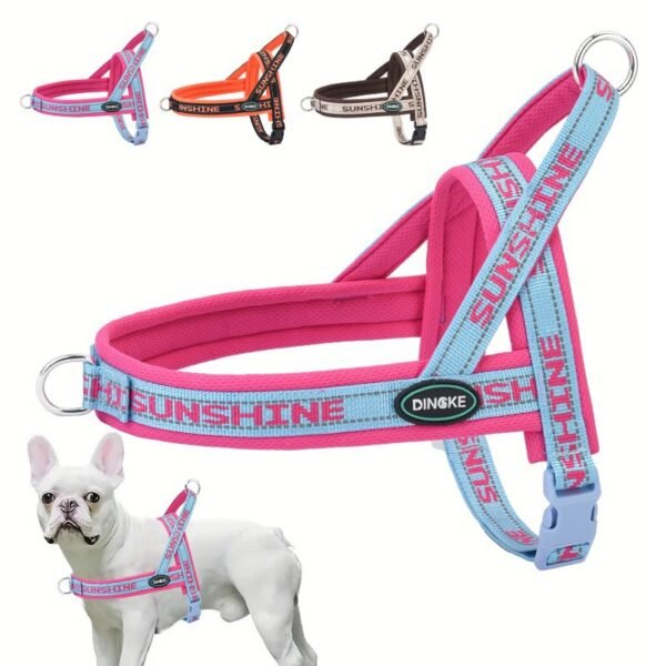 Dog harness to prevent escape#HP394