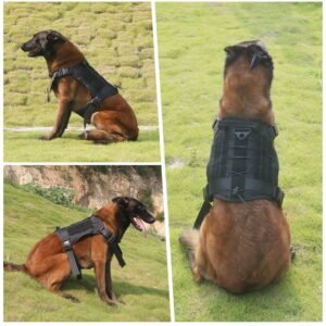 Professional Tactical K9 Harness Vest