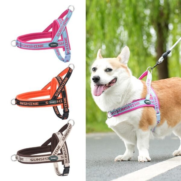 Dog harness to prevent escape#HP394