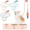 O1CN01pTKlHn1RZIiFKd9o1_!!2219738712125-0-cib Explosion-proof reflective webbing dog leash#LL035