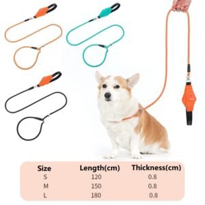 Explosion-proof reflective webbing dog leash#LL035