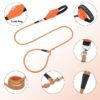 O1CN01soxwC11RZIiLDOSpr_!!2219738712125-0-cib Explosion-proof reflective webbing dog leash#LL035