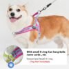 Dog harness to prevent escape#HP394