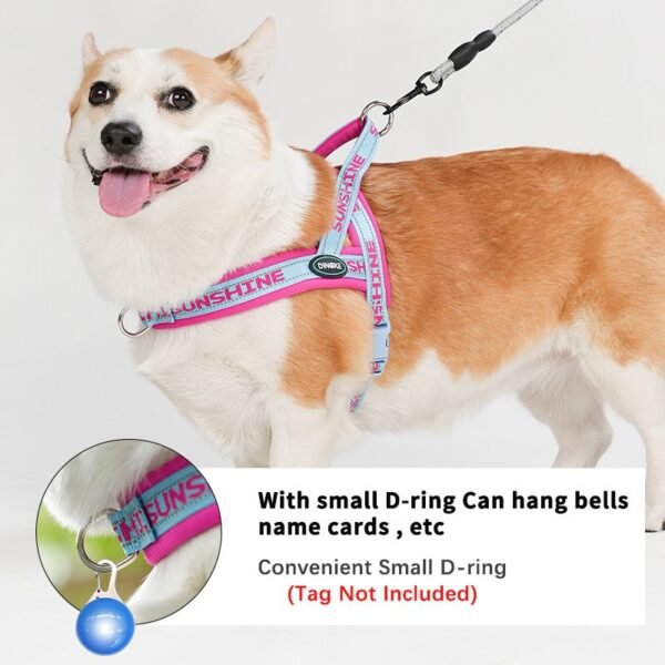 Dog harness to prevent escape#HP394