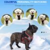 Vest-style small dog harness#HP199TZ