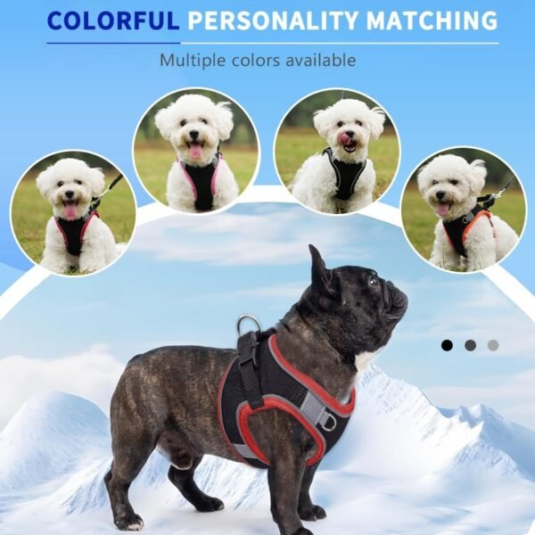 Vest-style small dog harness#HP199TZ