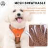 Vest-style dog harness#HP374
