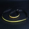 Water Proof LED Pet Collar w/ leash