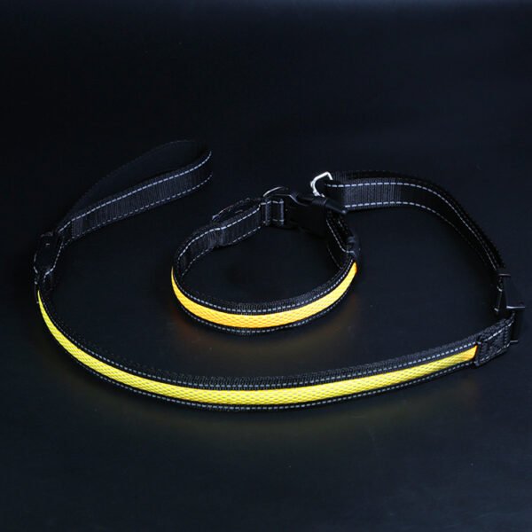 Water Proof LED Pet Collar w/ leash