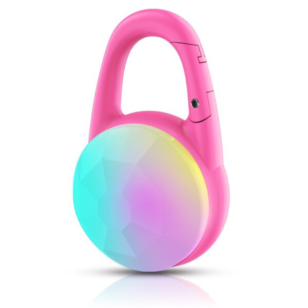 Luminous Pet Pendant