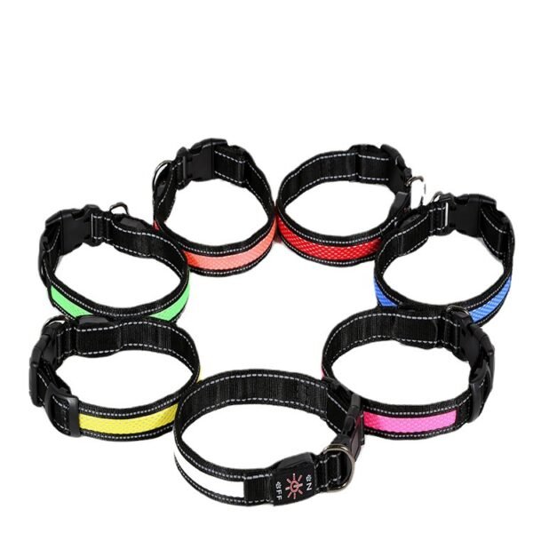 Water Proof LED Pet Collar w/ leash