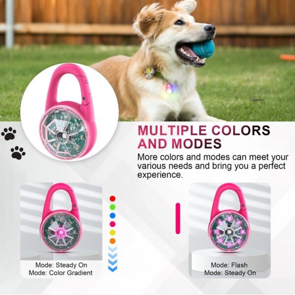 Luminous Pet Pendant