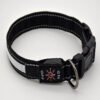 Water Proof LED Pet Collar w/ leash