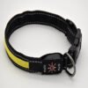 Water Proof LED Pet Collar w/ leash