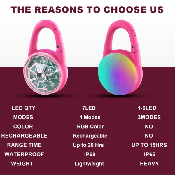 Luminous Pet Pendant