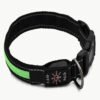 Water Proof LED Pet Collar w/ leash