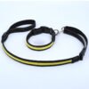 Water Proof LED Pet Collar w/ leash